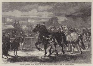 Suffolk trekpaarden op de tentoonstelling van de Royal Agricultural Society in Bury St Edmunds